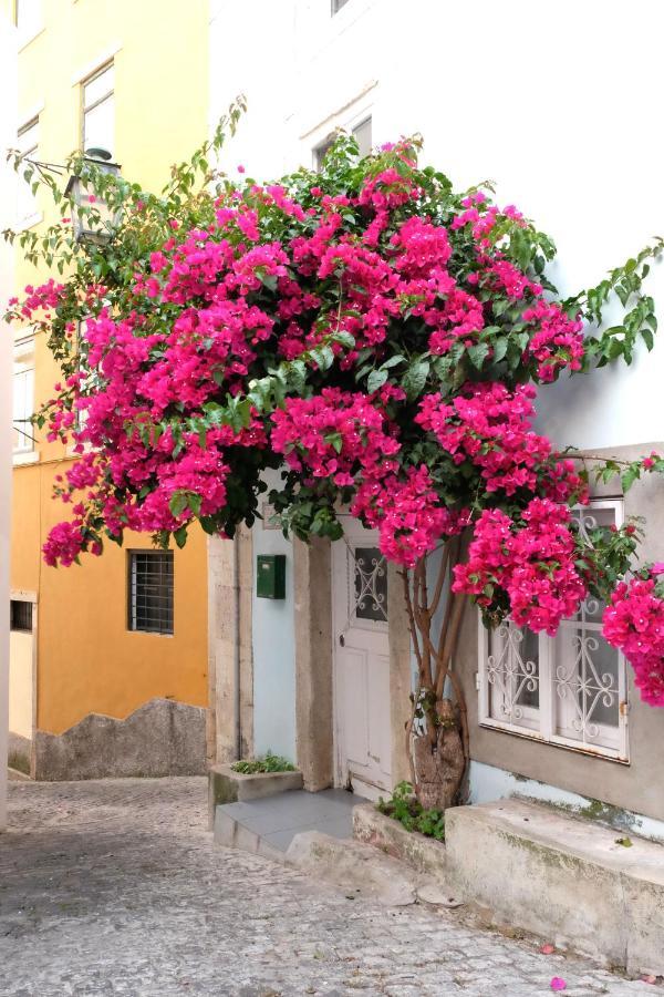 Proa D'Alfama Guest House Lisboa Exterior foto
