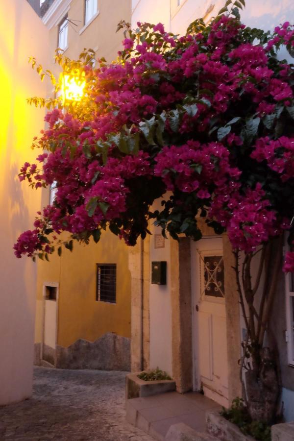 Proa D'Alfama Guest House Lisboa Exterior foto
